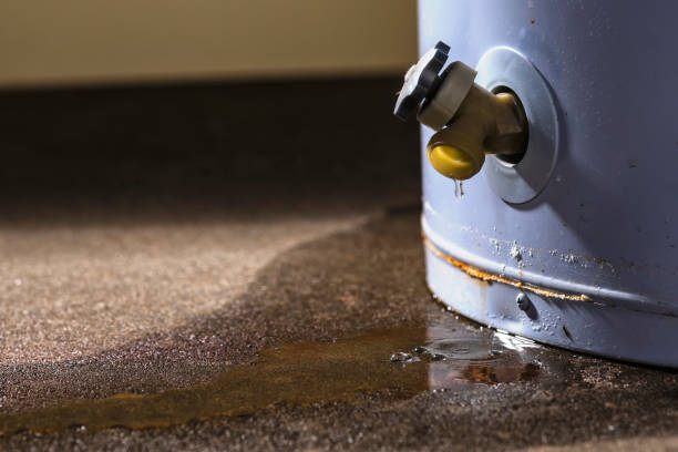 Best Water damage restoration process  in Ellinwood, KS