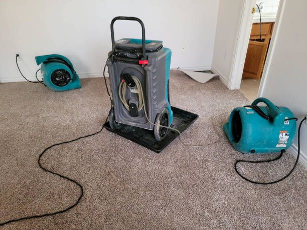 Best Carpet water damage restoration  in Ellinwood, KS
