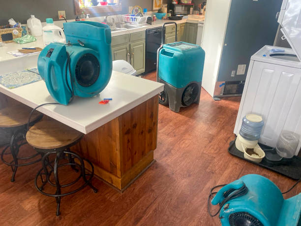  Ellinwood, KS Water damage restoration Pros