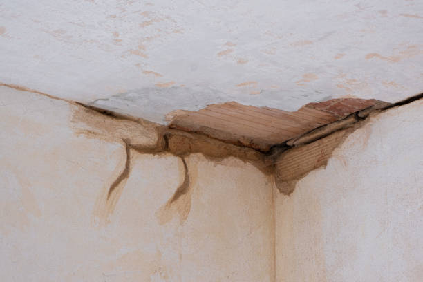 Best Sewage cleanup and water damage restoration  in Ellinwood, KS