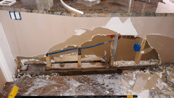 Best Flood damage cleanup  in Ellinwood, KS