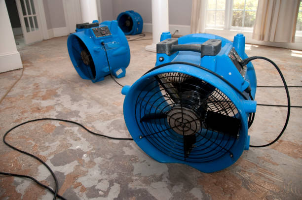 Reliable KS Water damage restoration Solutions
