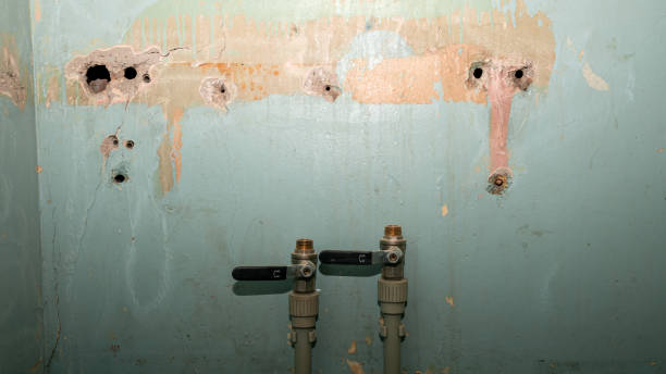 Best Mold removal after water damage  in Ellinwood, KS