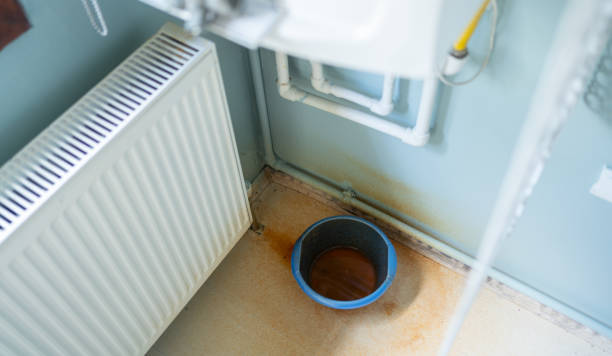 Best Professional water damage repair  in Ellinwood, KS
