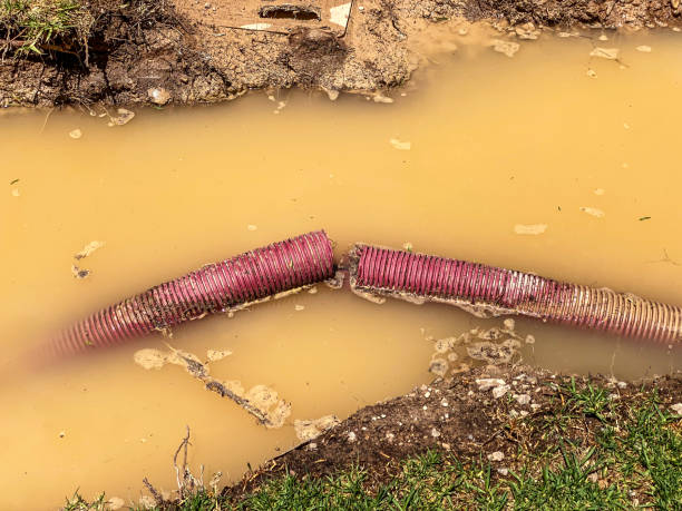 Best Local water damage restoration  in Ellinwood, KS
