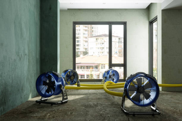 Best Mold removal after water damage  in Ellinwood, KS